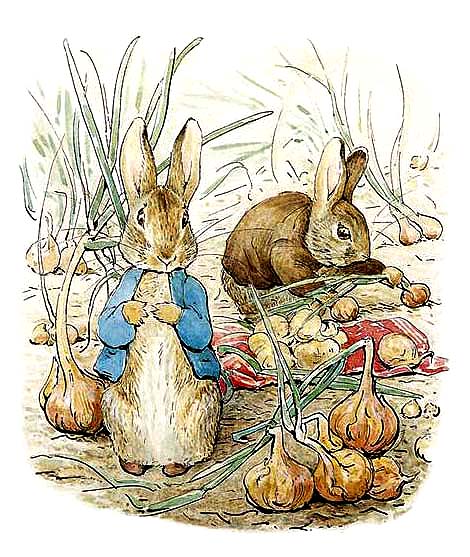 the tale of little benjamin bunny