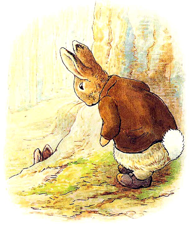 the adventures of peter rabbit & benjamin bunny